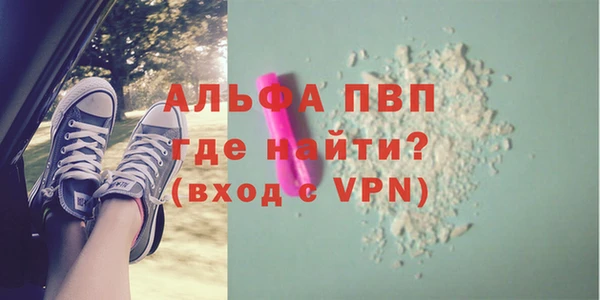 Альфа ПВП Новозыбков